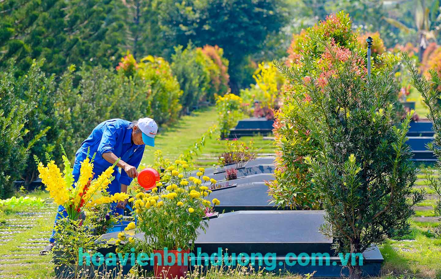 dịch vụ chăm sóc mộ phần